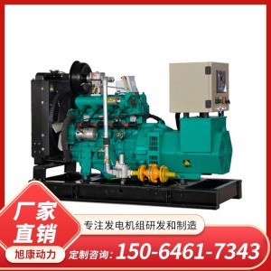 500 700 800kw1000kw燃气发电机组 大功率沼气发电机 安全环保